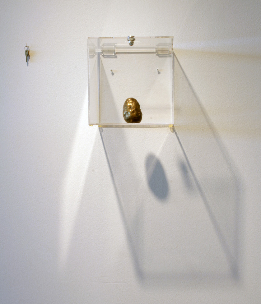 bronze egg in plastic box