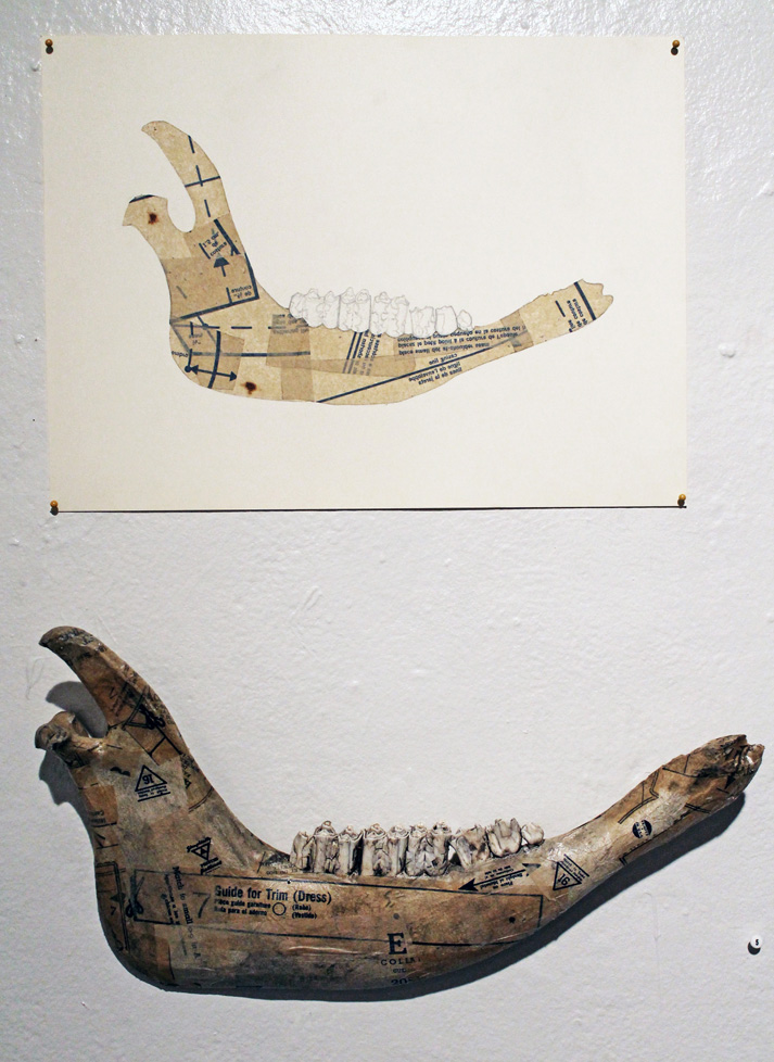collage drawing & object (jaw bone)