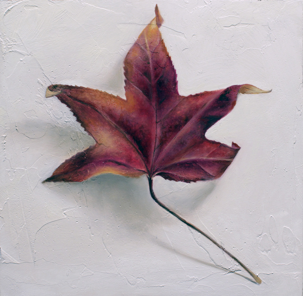 FSJ Maple Leaf