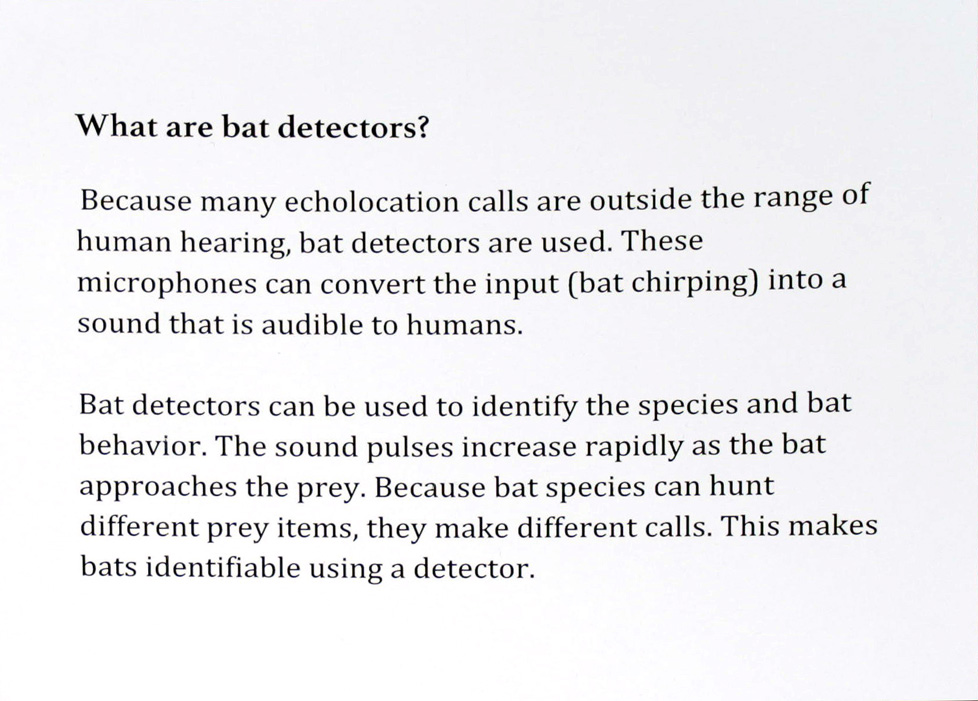 Bat detectors - text
