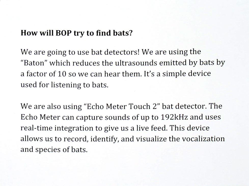 How will BOP find bats? - text