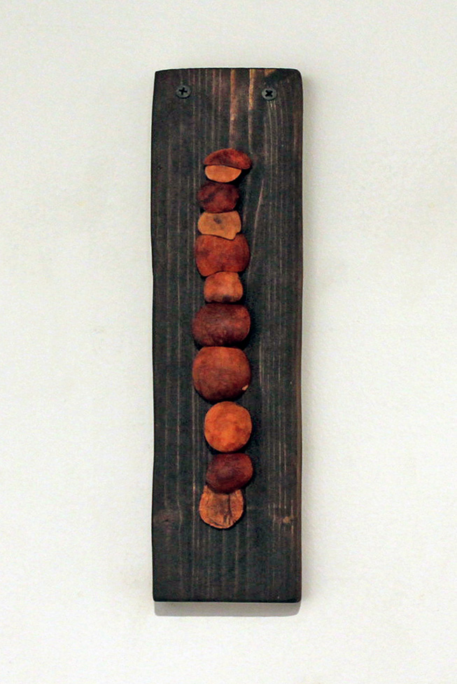 sliced avacado on wood