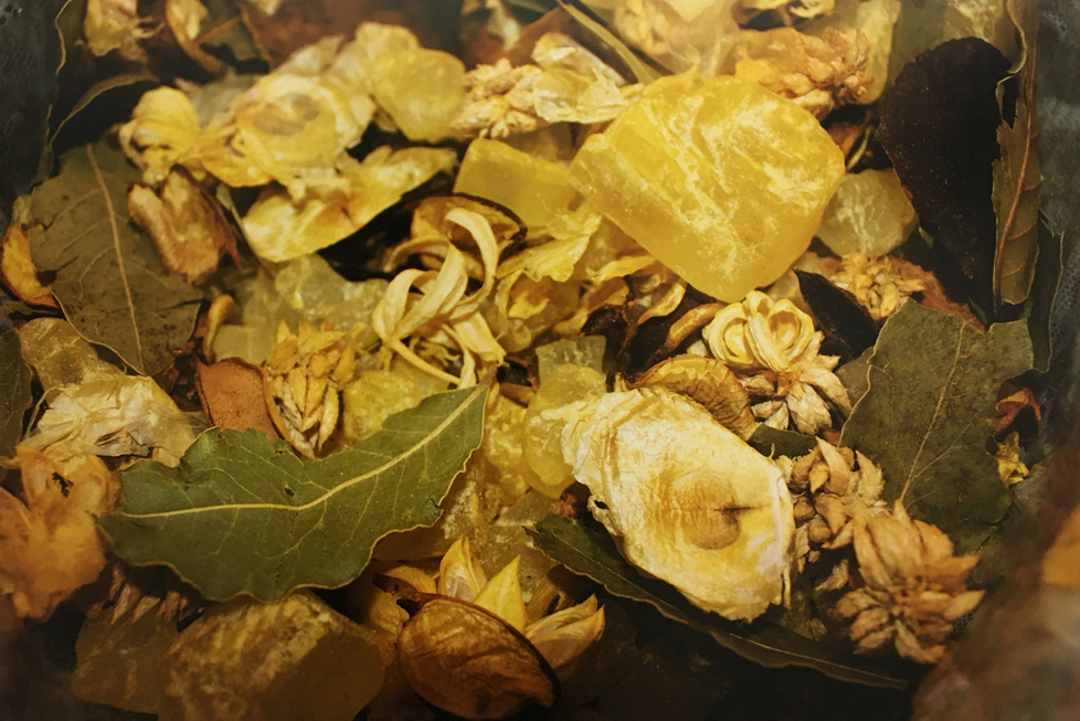 digital photo: dried leaves and flowers