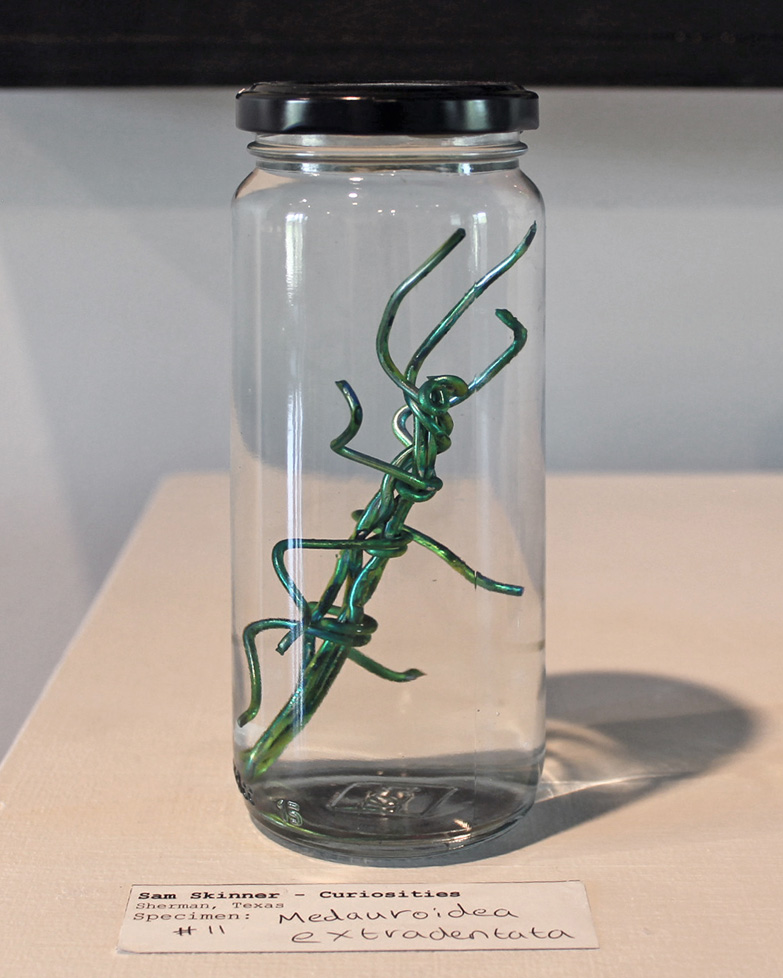 wire insect in bottle