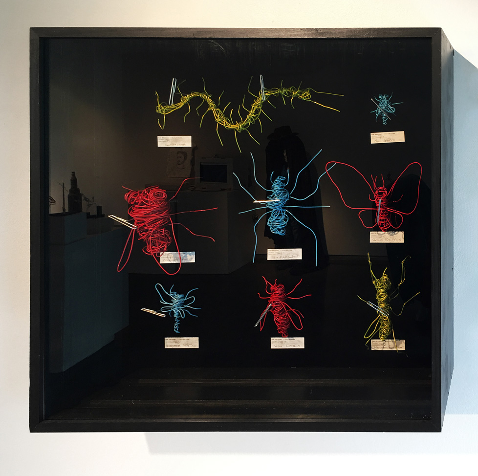 wire bugs in shadowbox