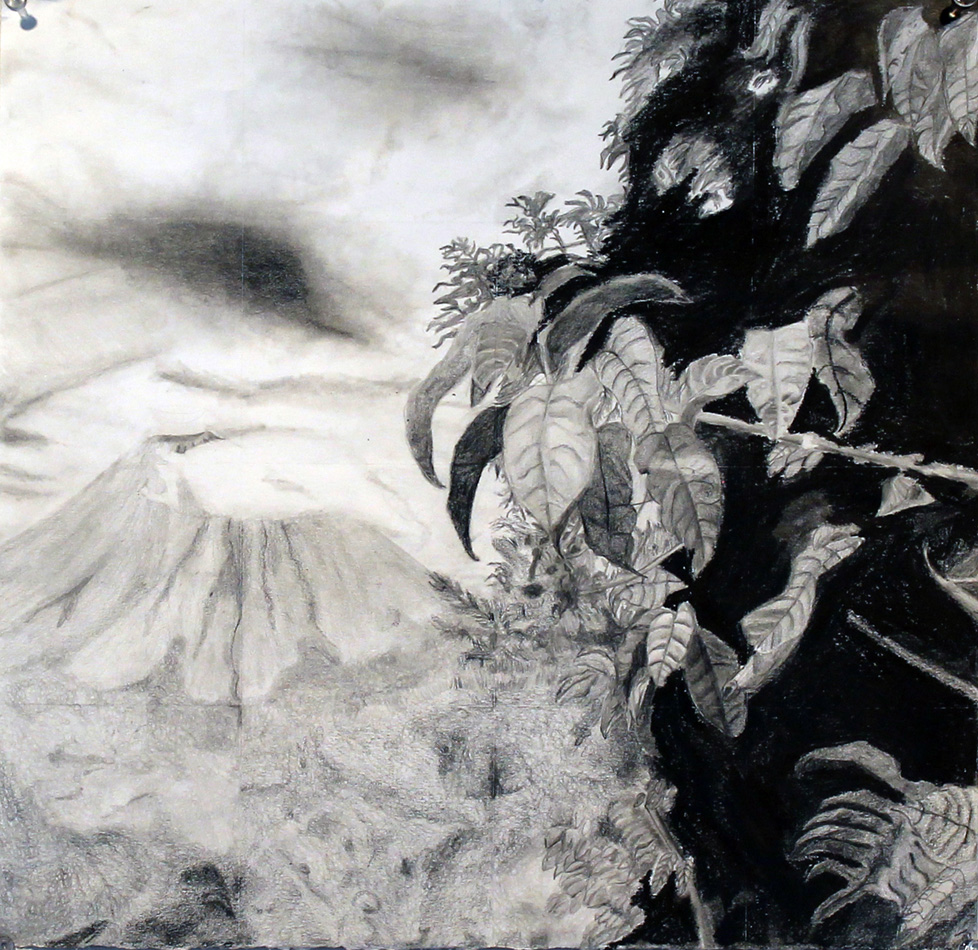 drawing of volcano and leaves