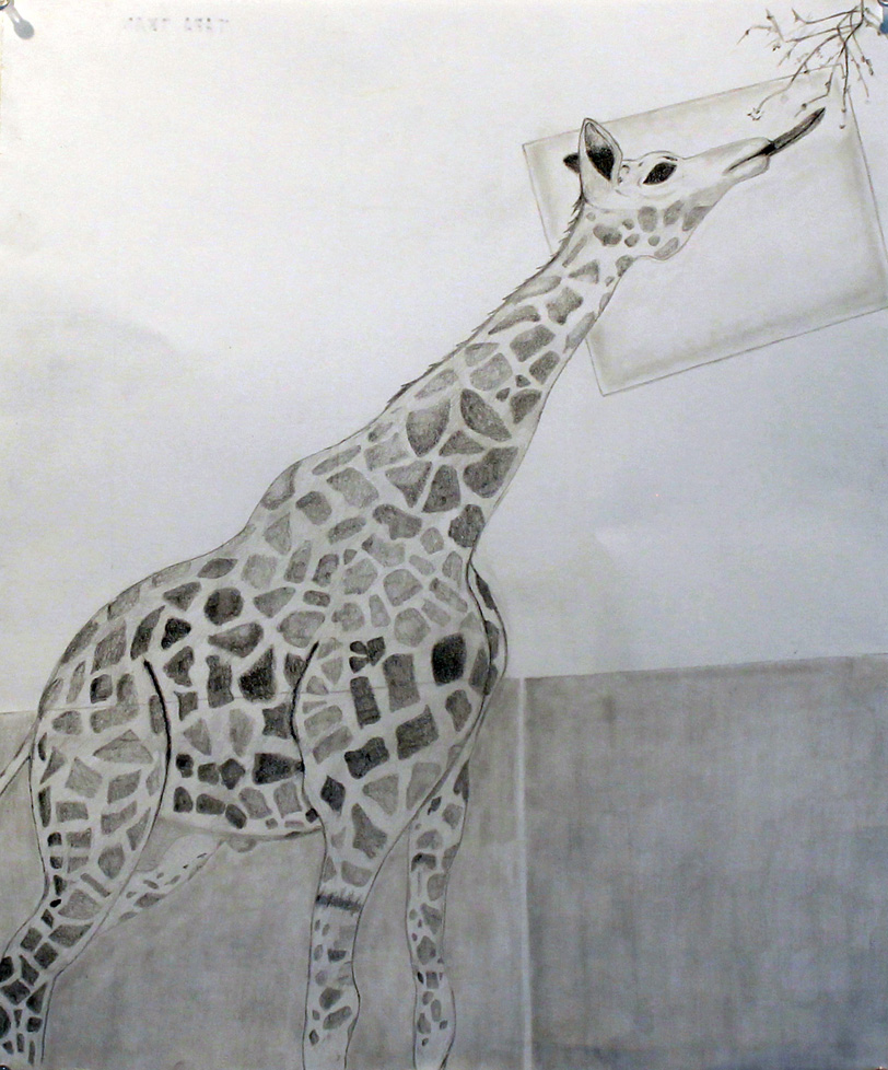 drawing of giraffe