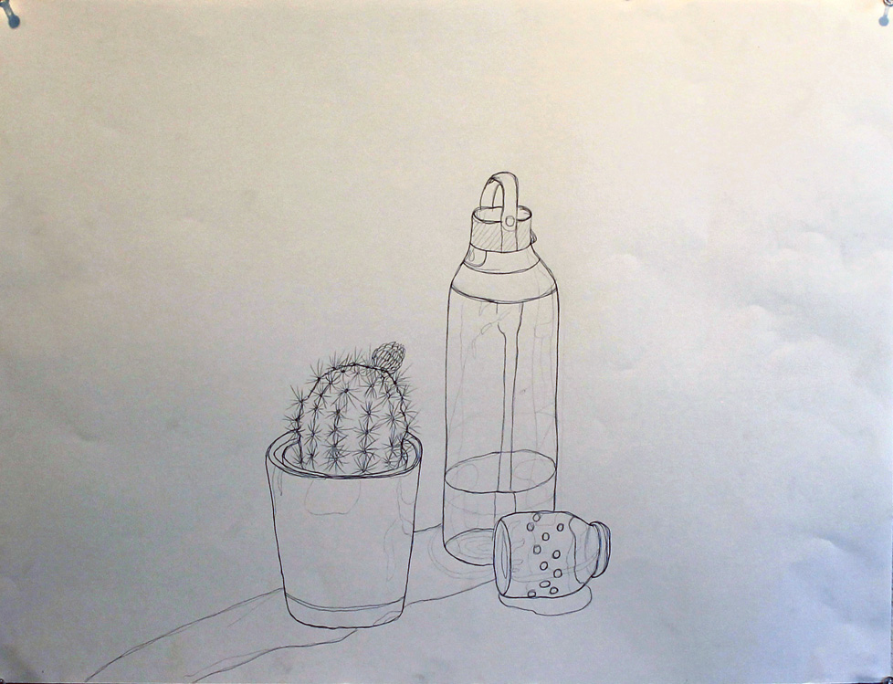 drawing of cactus and bottle