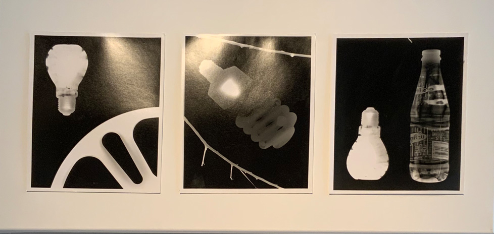 black and white photograms, 3 on canvas