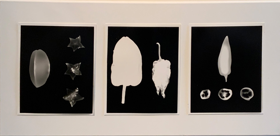 3 photograms in a row on canvas