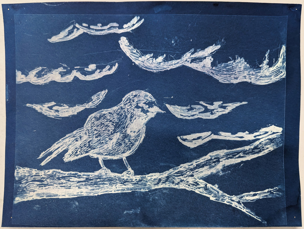 cyanotype