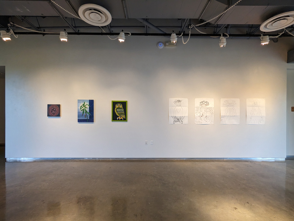 installation of paintings and drawings