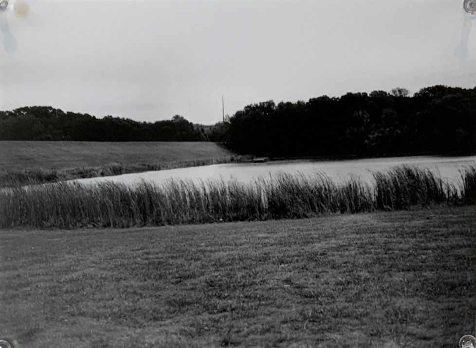 photo of pond