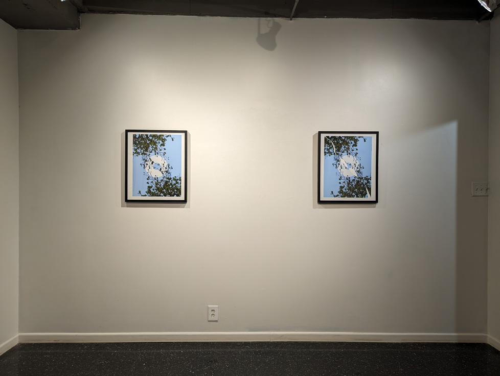 installation view of two framed photos on wall (right and left eye)