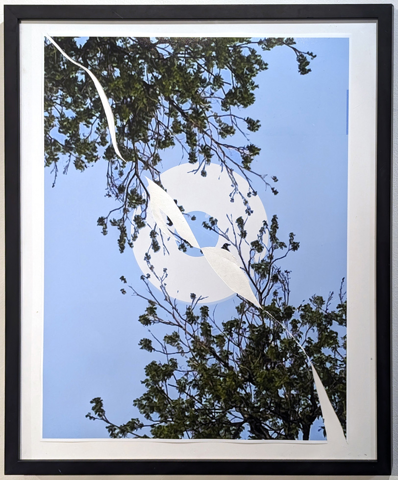 white ring in sky with tree branches and white ribbon