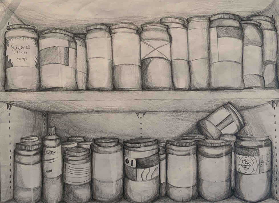 pencil drawing of bottles on shelf