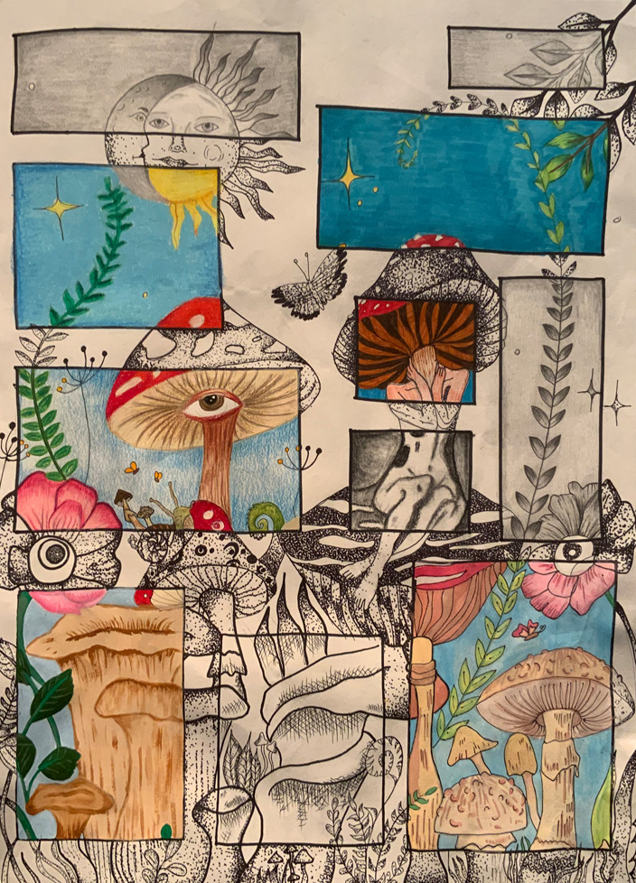 b/w drawing with selected rectagles in color, mushrooms