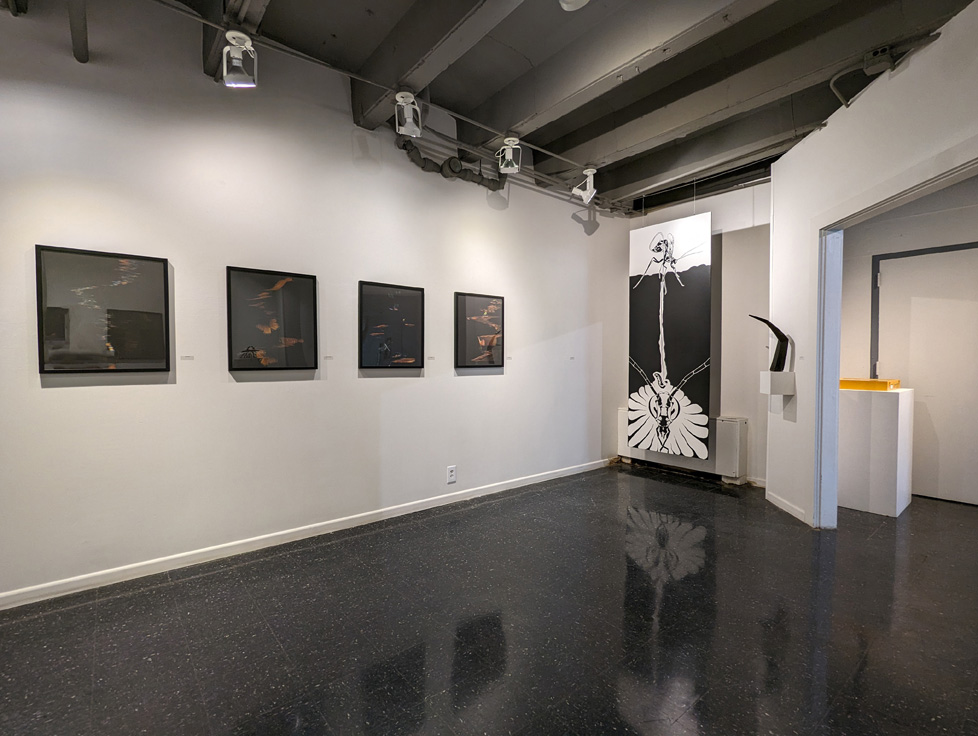 gallery view