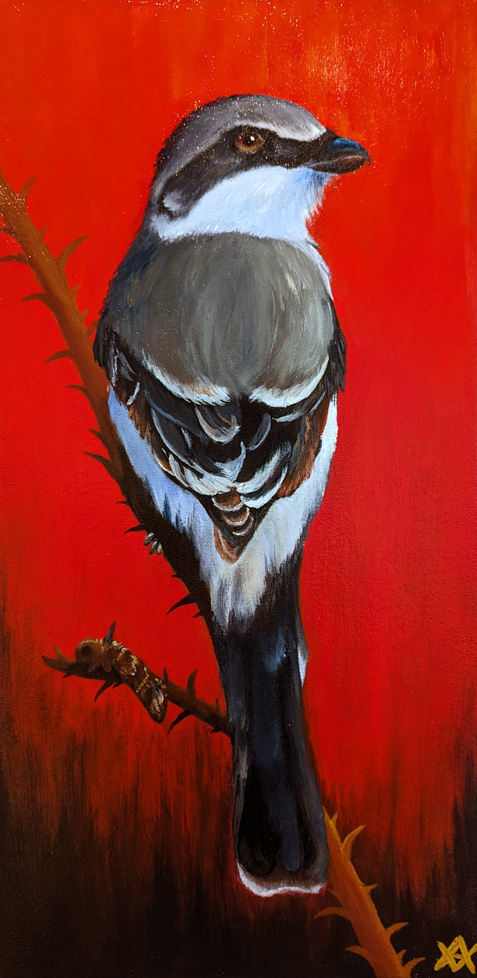 painting of gray bird, sitting on branch, red background