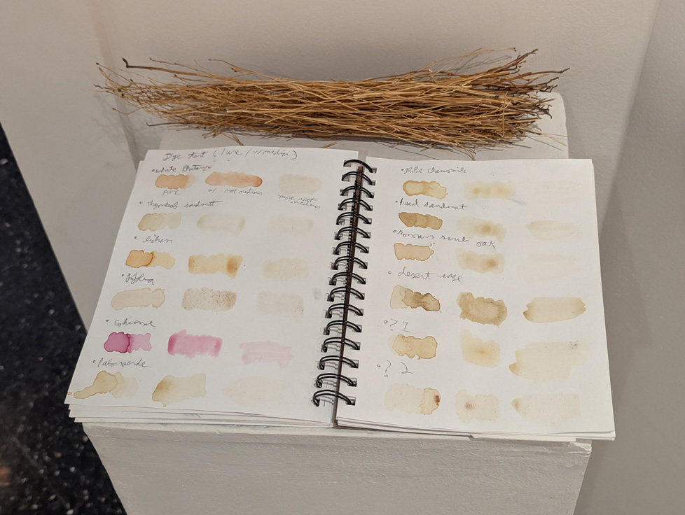 notebook with color samples from collected pigments