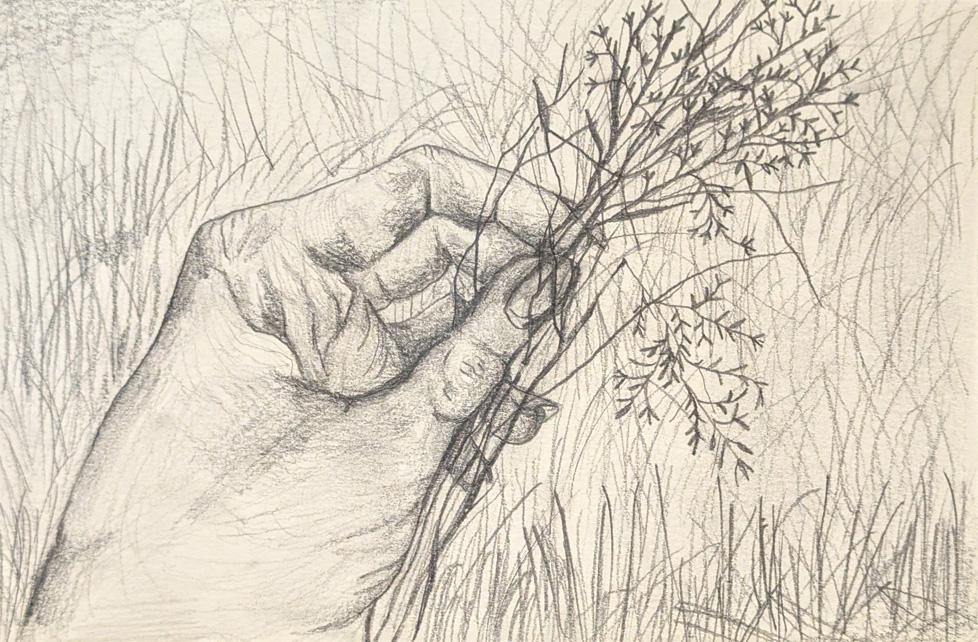 b/w drawing
