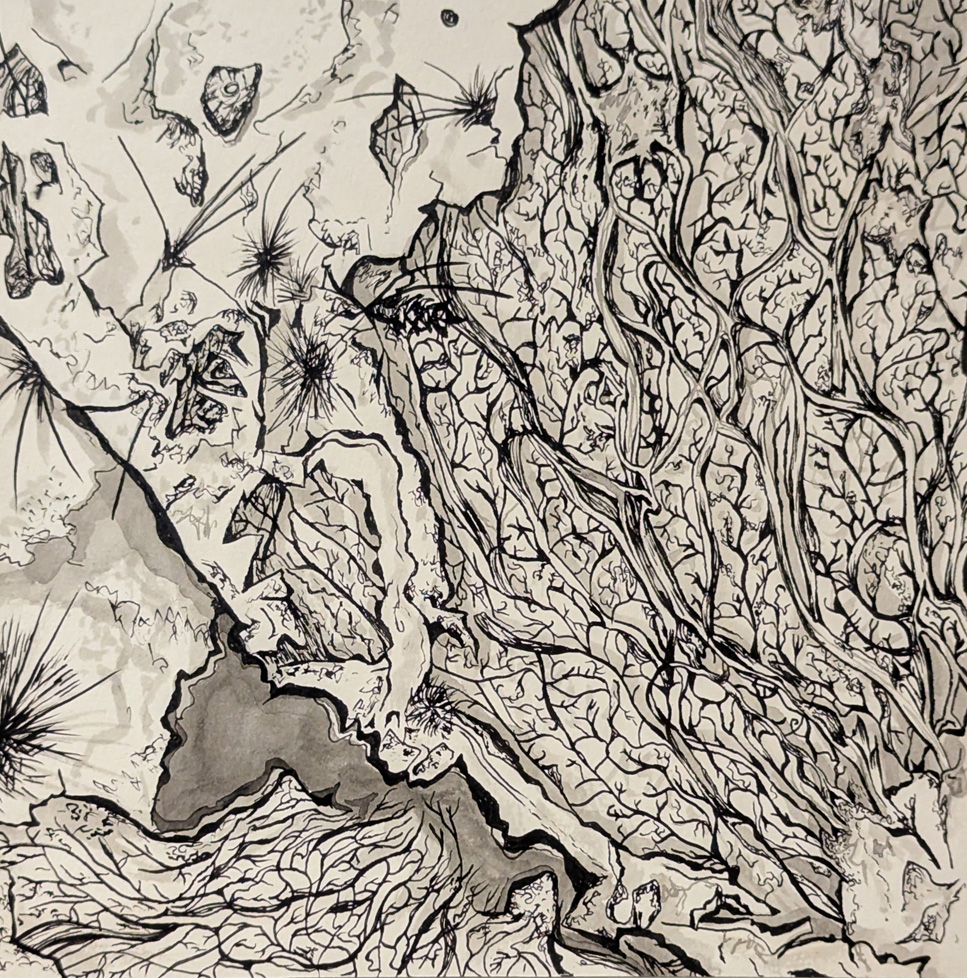 pen and ink drawing