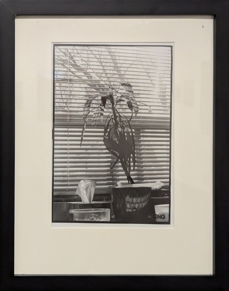 framed and mated b/w photograph