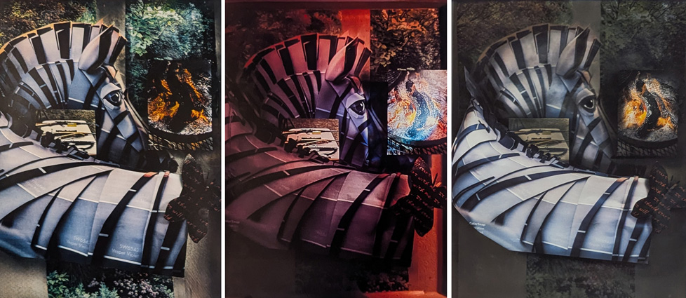 digital image: 3 versions of zebra collage