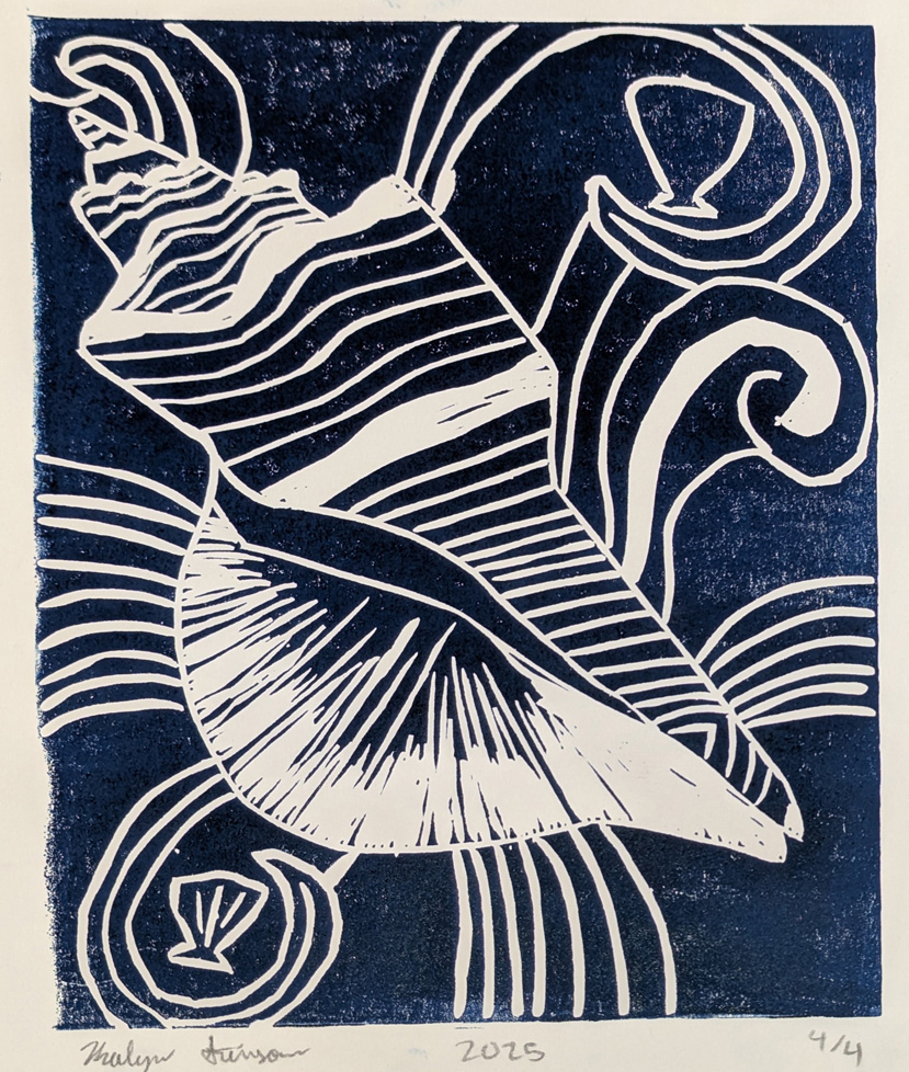 blue print of seashell