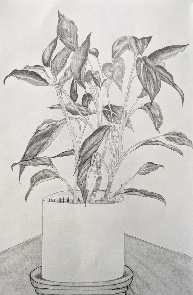 b/w drawing