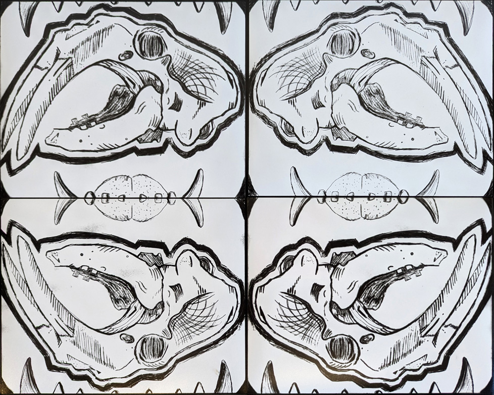 b/w photographic reproduction