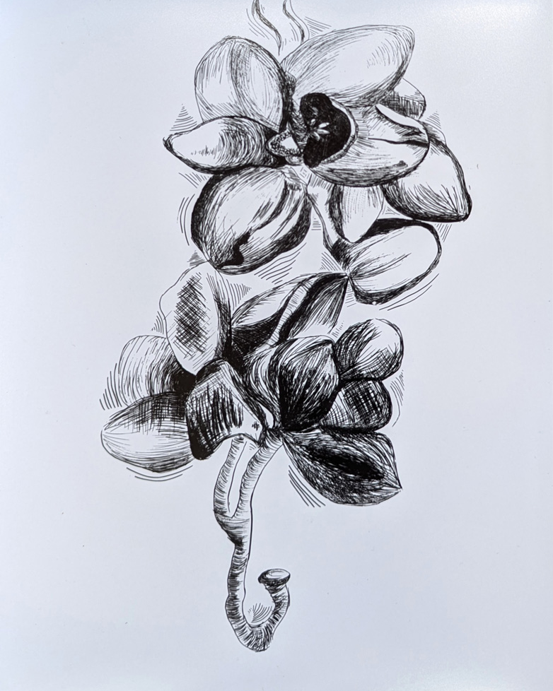 photographic reproduction