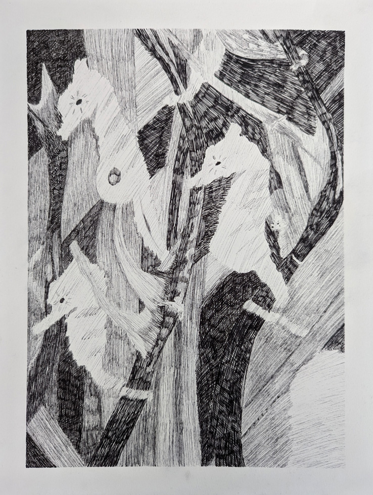 ink drawing