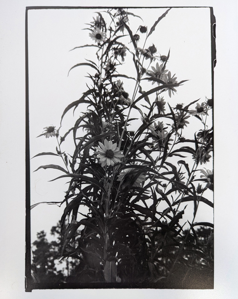 b/w photo