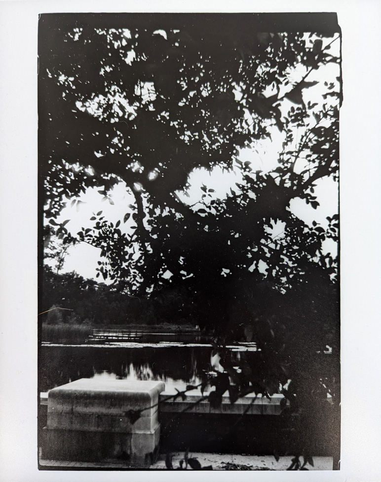 b/w photo
