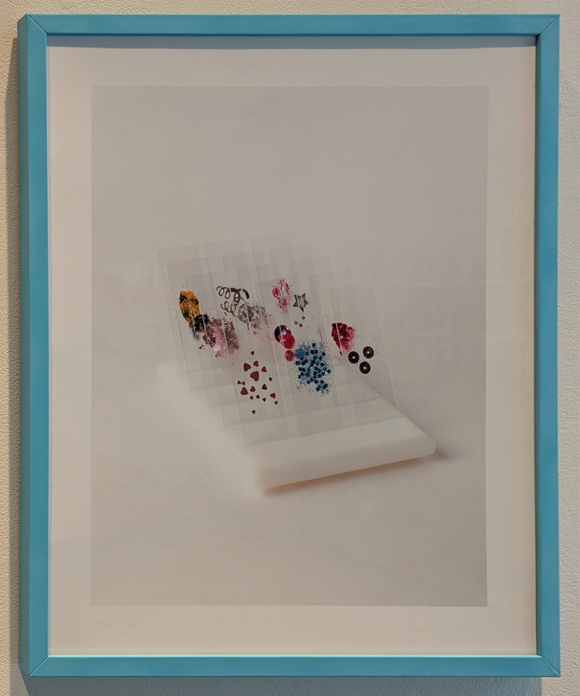 tray of slides with glittery objects sandwiched