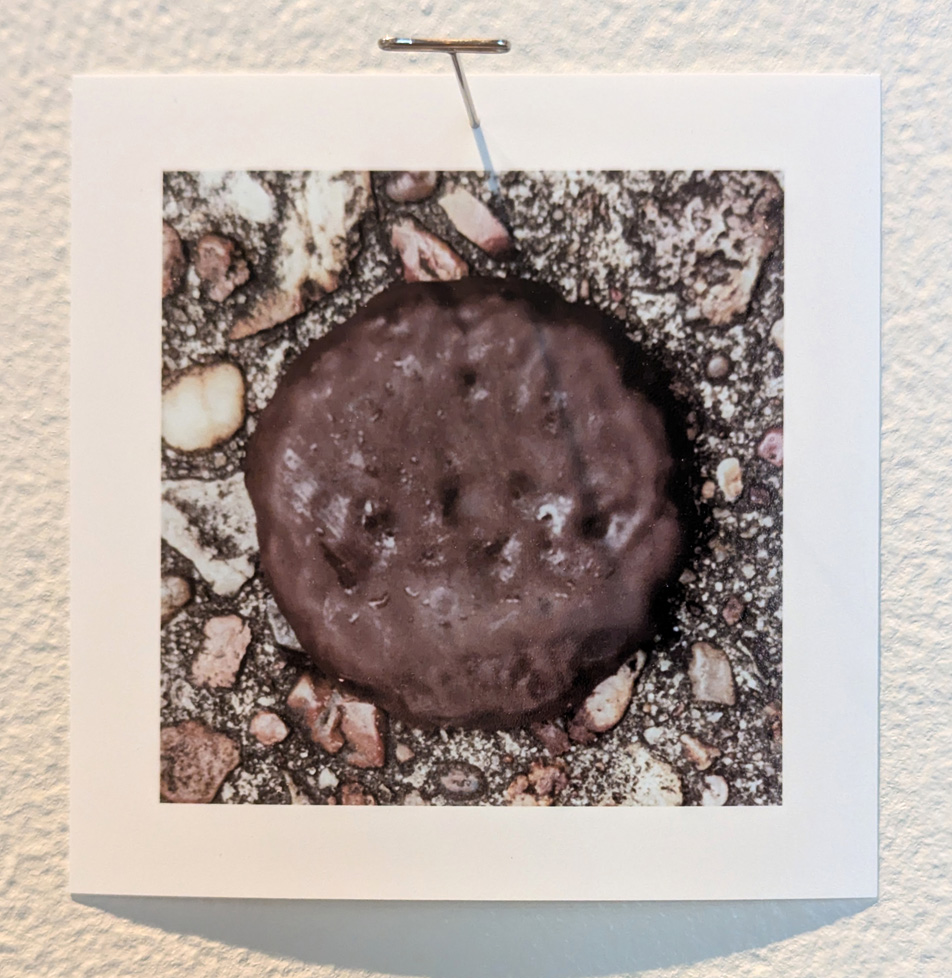 Thin Mint cookie on the ground