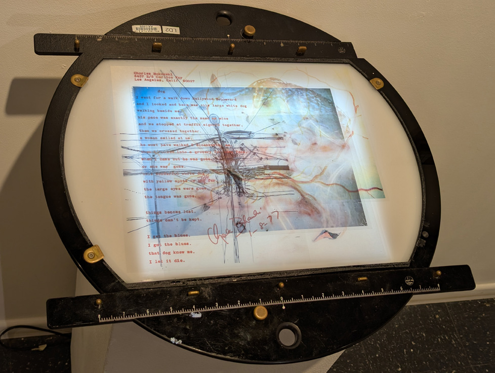 detail of lightbox with poem about a chance encouter with a dog