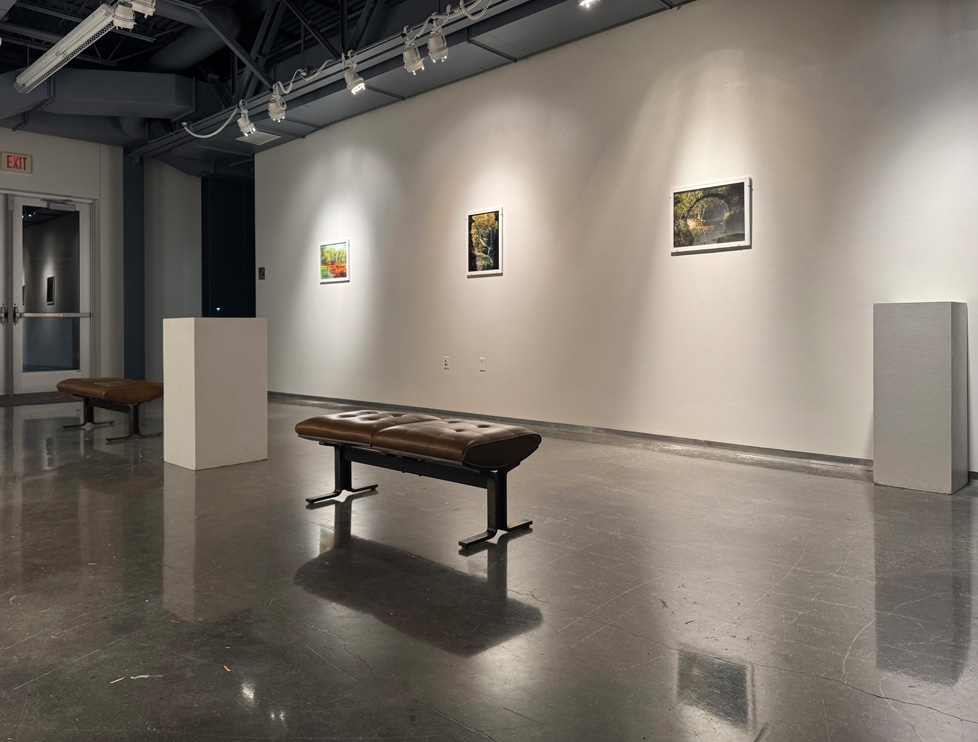 gallery view 1