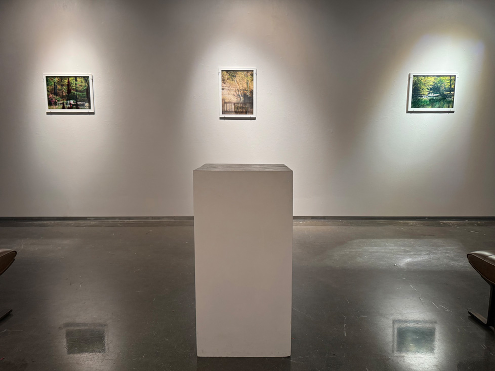 gallery view 2