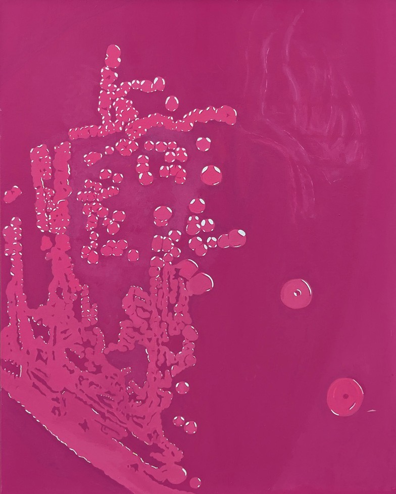 painting of pink bubbles on pink background