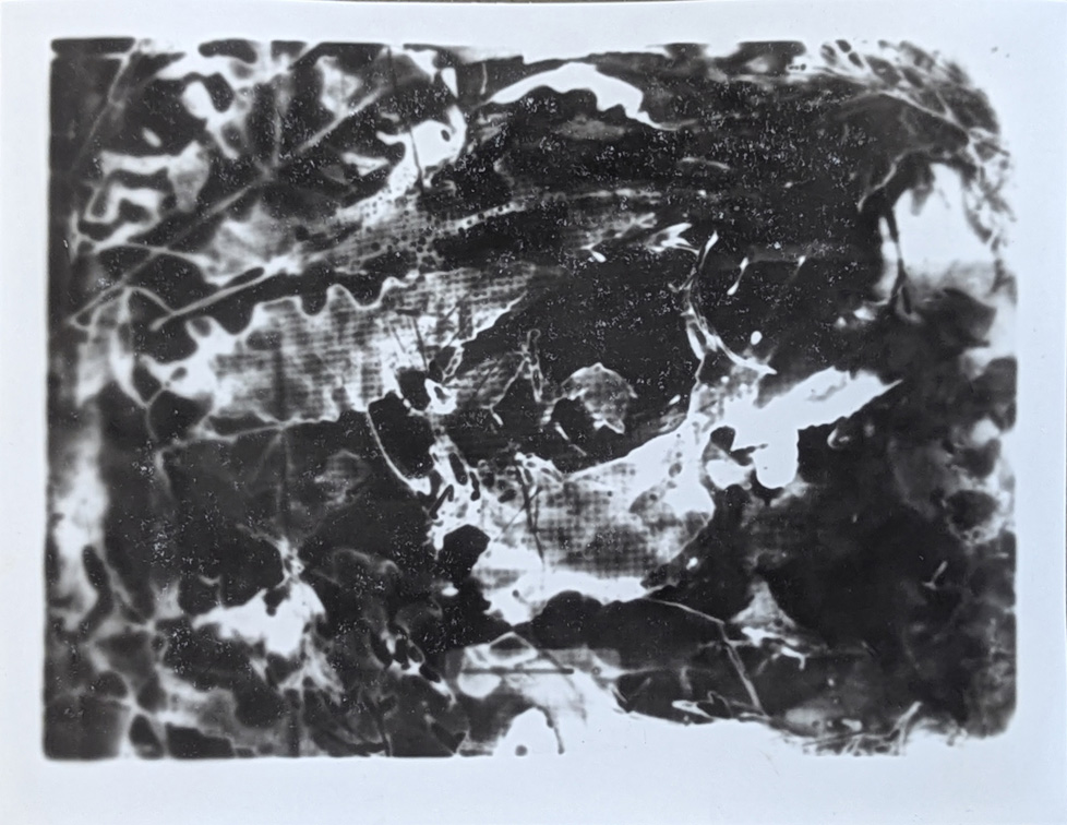 black and white photo of leaf-like shapes