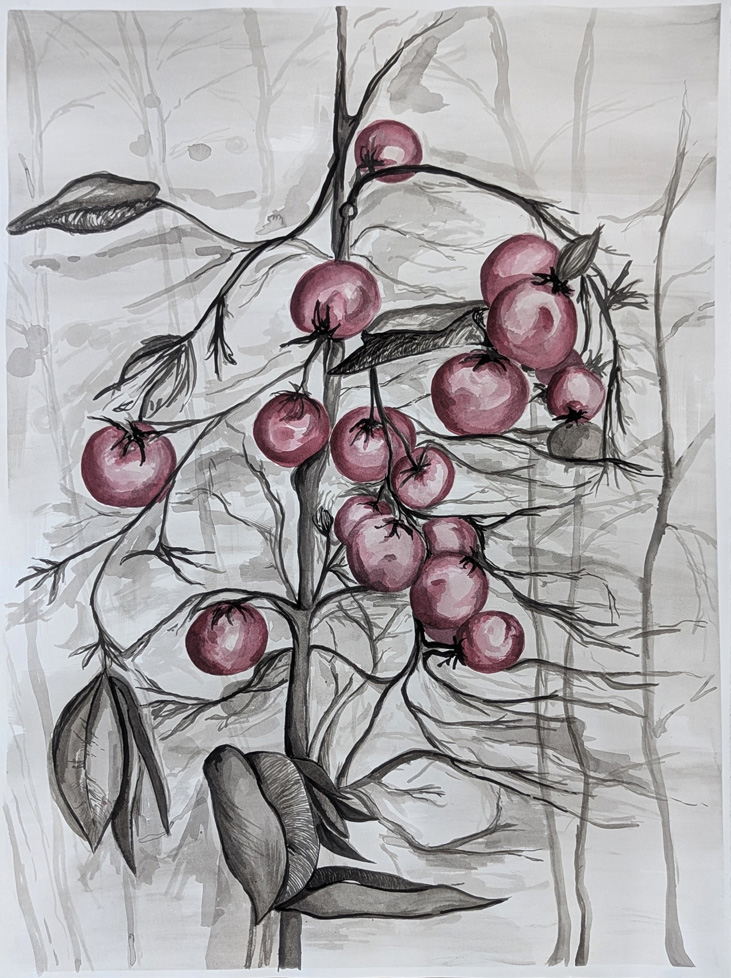 watercolor of gray vines and pink fruit