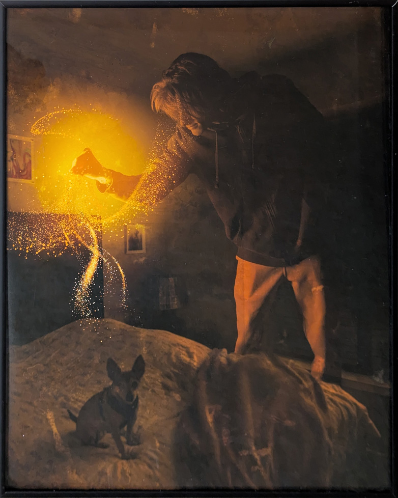 digital photo of man sprinkling magic yellow dust overe small dog on bed