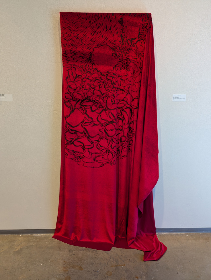 red velvet on canvas, but draping down to the floor, with abstract black ink drawing