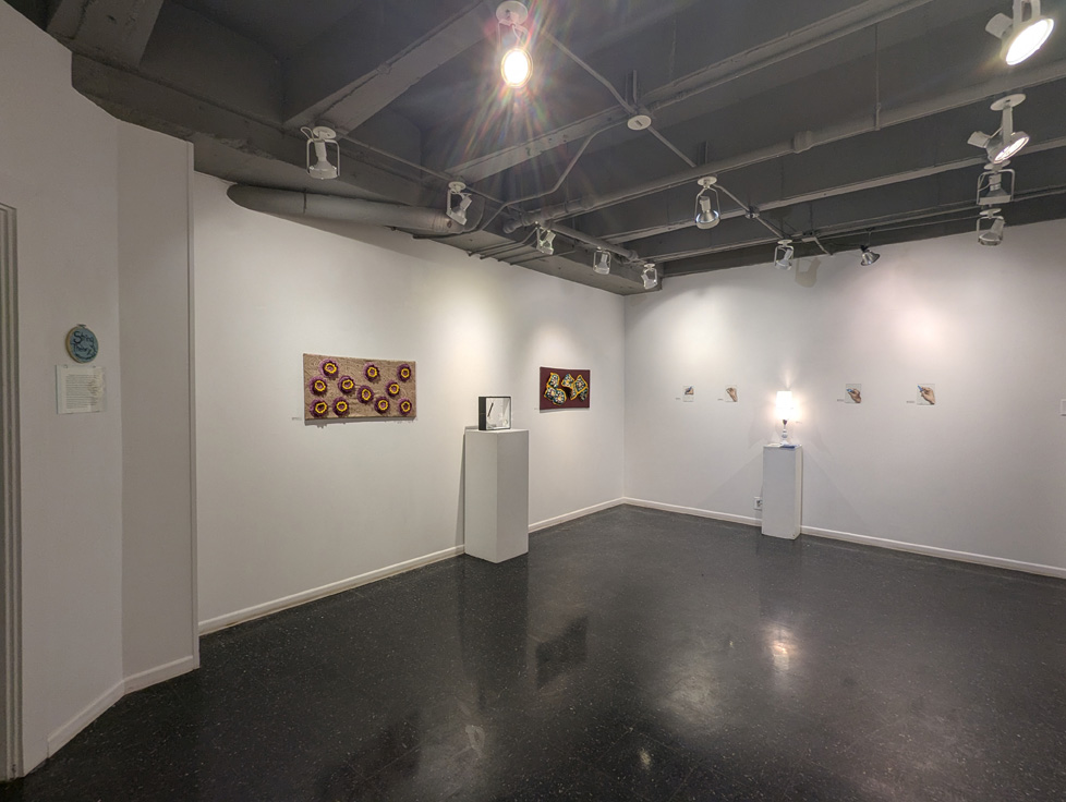 gallery view 1