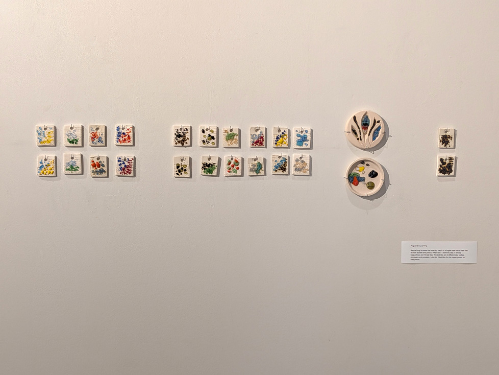 series of ceramic tiles hanging on wall