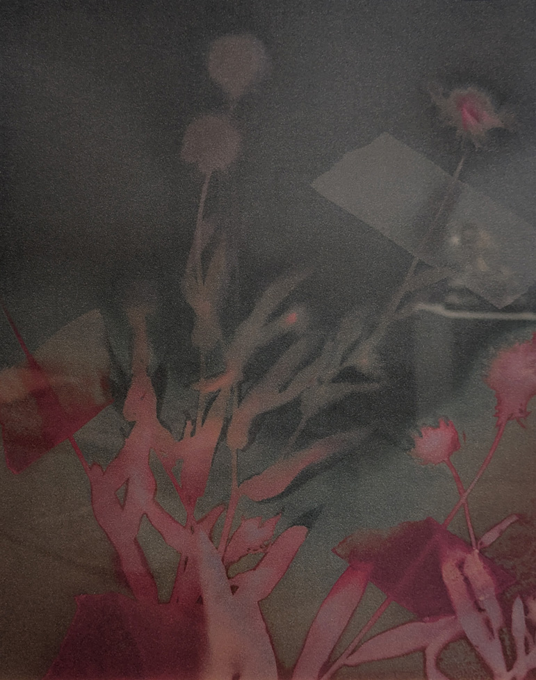 Lumen of plants, scanned and printed