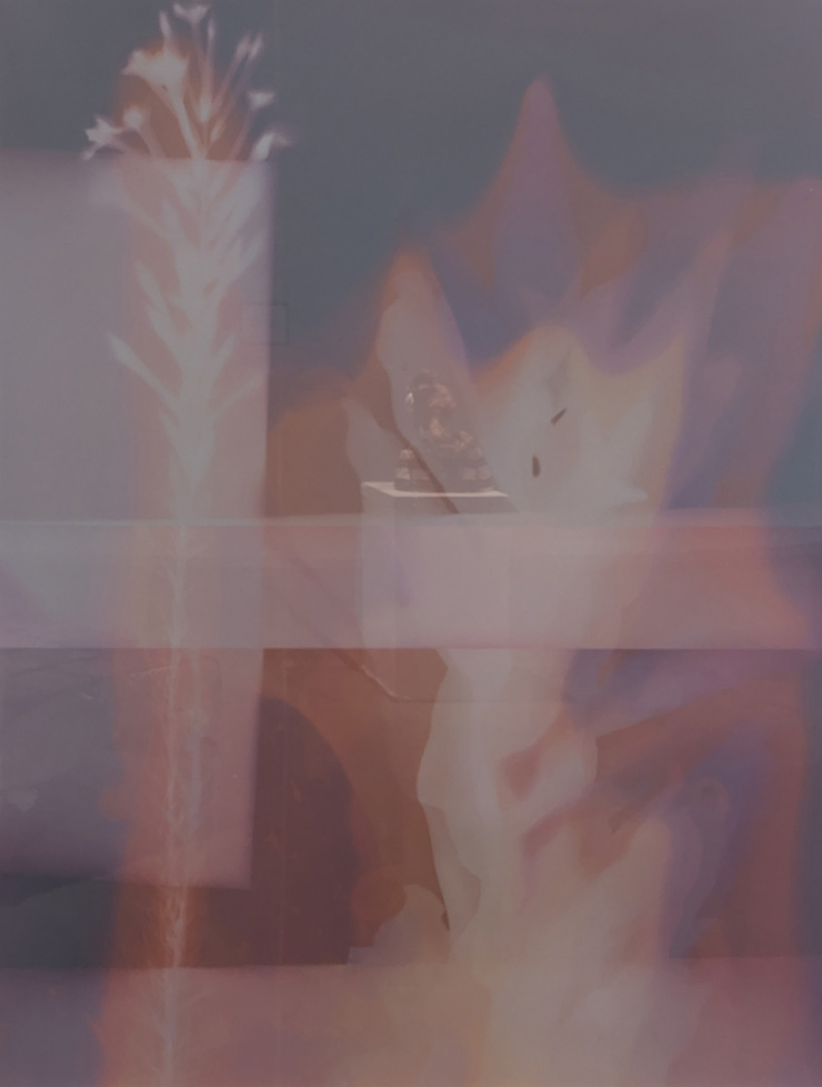 Lumen of plants, scanned and printed