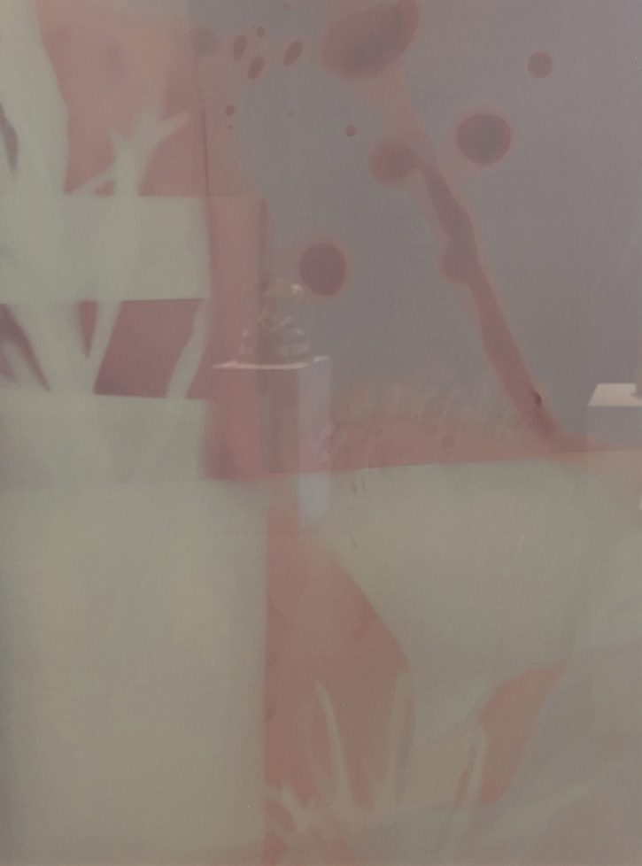 Lumen of plants, scanned and printed